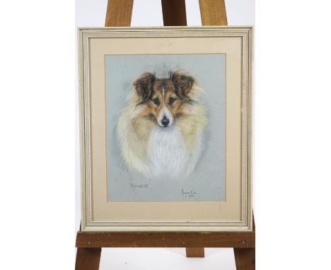 Marjorie Cox, pastel dog portrait 'Funzie', signed lower right and dated 1984, 41cm x 33cm