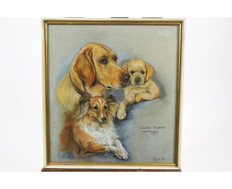 Marjorie Cox, pastel dog portrait 'Candy, Flossie and Honey', 49cm x 45cm, signed lower right and dated 1968