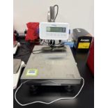 Platform Scale