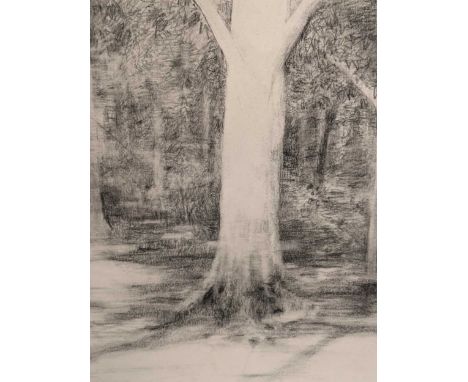 A Group Of Six Pictures To include a unsigned drawing of trees in the Cambridge Botanic Garden by Sarah Riley-Smith, 26.5cm x