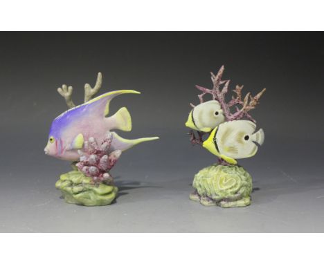 Two Royal Worcester bone china models of fish, each modelled by R. Van Ruyckevelt, comprising 'Four Eyed Fish', No 3573, heig