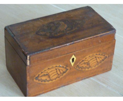 A George III period mahogany and crossbanded two division Tea Caddy, the hinged lid decorated with an elliptical marquetry pa