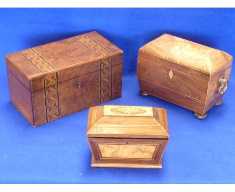 A 19th Century figured walnut and Tunbridgeware style banded two division Tea Caddy together with one other smaller sarcophag