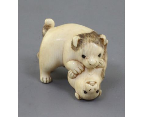 A Japanese ivory netsuke of two puppies, 19th century, the chubby pups play fighting, unsigned, l. 3.6cm