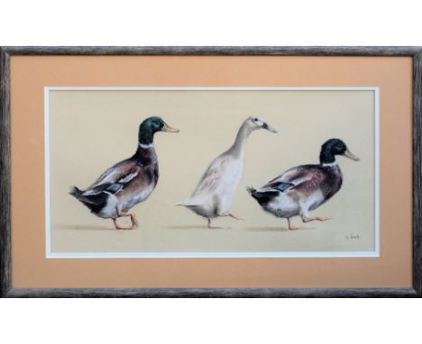 Kate Brooks (British, 20th century), Three ducks , pastel on tinted paper, signed 'K. Brooks' lower right, in limed wood fram