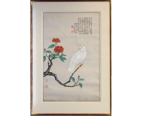 An antique Chinese watercolour on silk of a bird, probably 19th century, the white feathered bird perched upon a peony branch