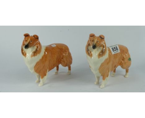Beswick Collie 1791 in light and dark variations (2)