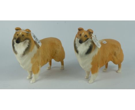 Beswick matt Collie 1791 in light and dark variations (2) 
