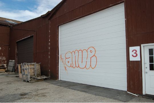 Wayne Dalton Electric Garage Door 18 Ft X 12 Ft T B