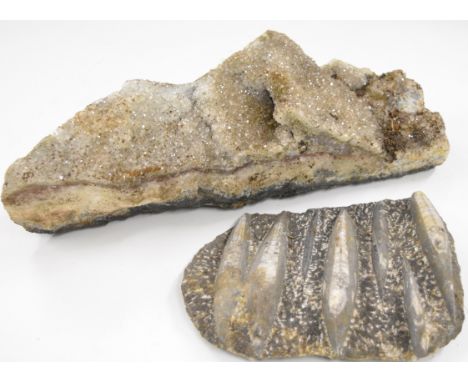 A mineral geode of clear crystals, W43 x D18 x H15cm and a orthoceras / squid fossil