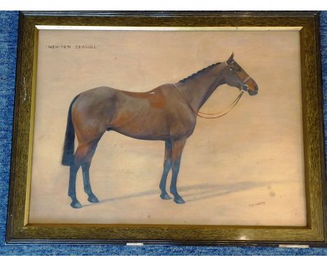 F (Frances) Mabel Hollams (1877-1963), a framed and glazed study of 'Newton Seagull', standing four square, signed F.M. Holla