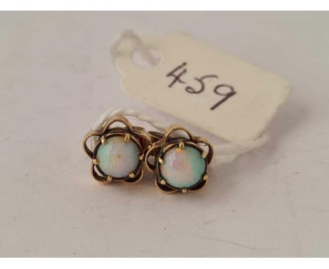 A pair of opal earrings 9ct    1.7 gms