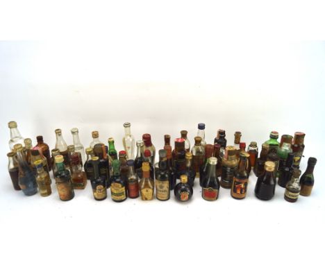 A large selection of assorted alcohol miniatures, to include Tequila, Jagermeister and more