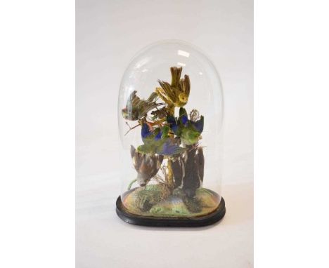 Taxidermy: A late Victorian ornithological display, with six birds arranged on a branch within a mossy diorama, under a glass
