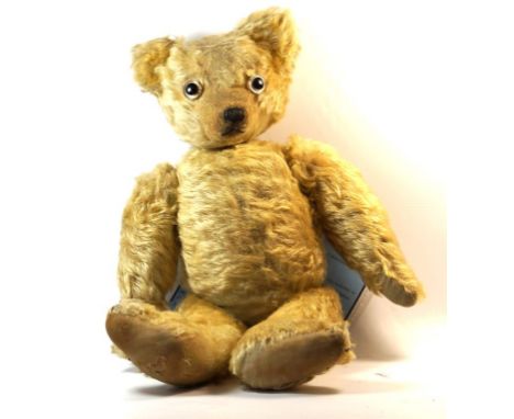 A William J Terry gold plush growler teddy bear, circa 1920
With glass button eyes, pointed snout and articulated limbs, heig