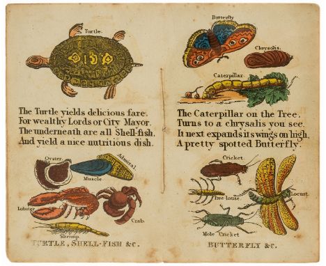 Children's.- Belch (William) W. Belch's History of Fishes &amp; Insects, 8ff., printed on one side only, each with hand-colou
