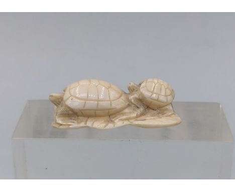 NETSUKE: ZWEI SCHILDKRÖTEN, Japan, wohl Bein, ohne Signatur. Vollplastische Figur von zwei Schildkröten auf einem Lotusblatt.