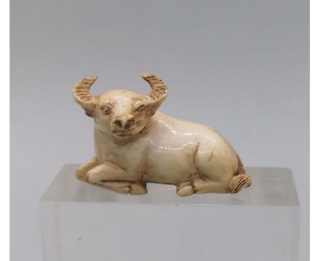 NETSUKE / OKIMONO: LIEGENDER BÜFFEL, Japan, Bein, ohne Signatur. Vollplastische Figur eines liegenden Büffels (Ochsen). Ohne 