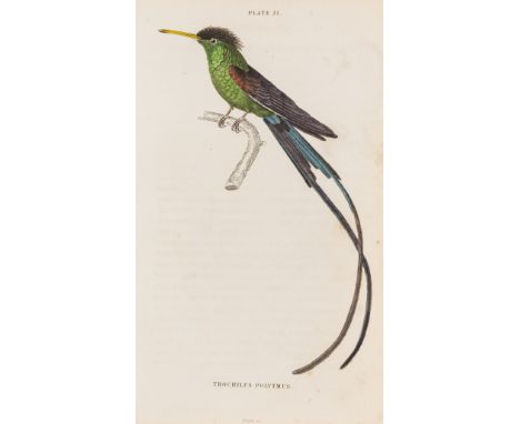 NO RESERVE Birds.- Jardine (Sir William) The Naturalist's Library, vol.XV: Ornithology. The Natural History of Humming-Birds,