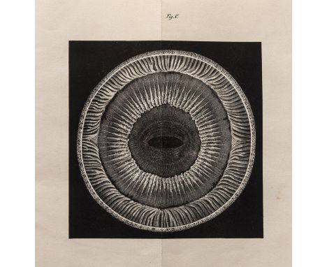NO RESERVE Whale's eyes.- Mayer (Dr. A.) Anatomische Untersuchungen über das. Auge der Cetaceen, 6 folding lithographed plate