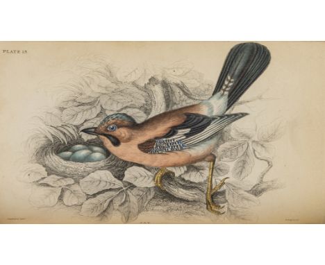 NO RESERVE Jardine (Sir William) The Naturalist's Library, Ornithology: Birds of Great Britain and Ireland, 3 vol., engraved 