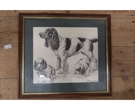 A pair of prints, one of a spaniel and puppies, the other of dogs attacking a boar, Continental, both indistinctly signed.