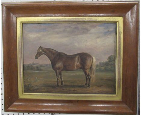 A 19th century oil on board, portrait of a horse in landscape, 9.5ins x 12ins