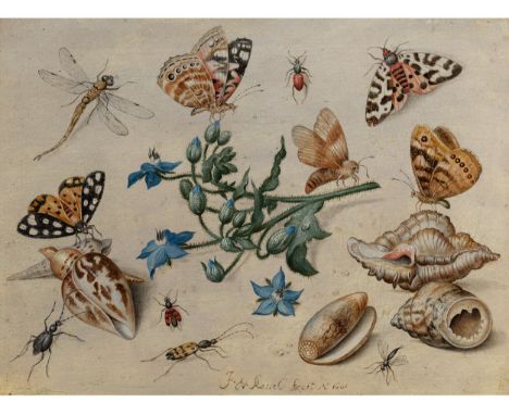 Jan van Kessel d. Ä., um 1626 Antwerpen – 1679 ebendaSCHMETTERLINGE, MUSCHELN, INSEKTEN UND BLÜTENZWEIG Öl auf Eichenholz. 18