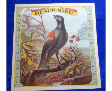 USA Trade anonymous advert, Blackbird subject 28.3 x 27.7 cm approx.  Printing credit on bottom right corner reads The Match 