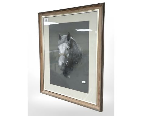 20th Century School : Study of a horse head, charcoal with colour chalk, 30 cm x 43 cm, signed with initials 'D. C. K '69'.