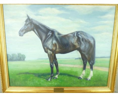 P T LINCOTT 1974 oil on canvas - portrait of a horse, 'Flash Imp', winner of 1973 S.K.F Cesarewitch, owned by Mrs O Negus-Fan