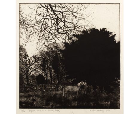 Arthur Hackney (1925-2010)'Dappled horse in a Surrey field', etching, pencil signed in the margin, titled, numbered 19/50 and