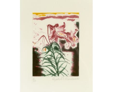 Elizabeth Blackadder (b. 1937)The Lily, signed in pencil and numbered 41/100 in pencil to the margin, etching in colours, 16.