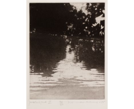 Norman Ackroyd (b. 1938)'Jackson's Pond VI', etching with aquatint, pencil signed in the margin, titled, numbered 94/110 and 