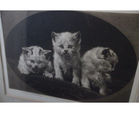 Herbert Dicksee, Three Little Kittens, Mezzotint