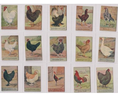 Trade cards, Spratt's, Poultry Series, 'K' size (set, 100 cards) (gd)