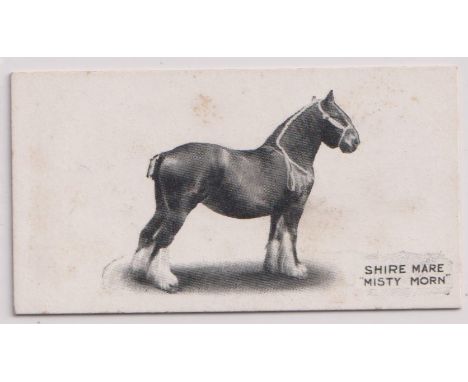 Cigarette card, Taddy, Famous Cattle &amp; Horses, type card, no 43, Shire Mare 'Misty Morn' (light foxing, gd) (1)