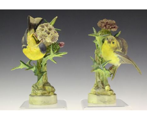 A pair of Royal Worcester studies of a male and female goldfinch, circa 1938, modelled by Dorothy Doughty, from the American 