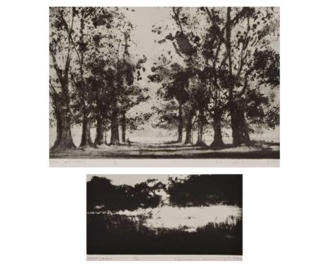 Norman Ackroyd CBE RA (b.1938) - Two limited edition etchings - 'The Avenue, West Avebury', 32/90, 34cm x 51.5cm, dated 1981 