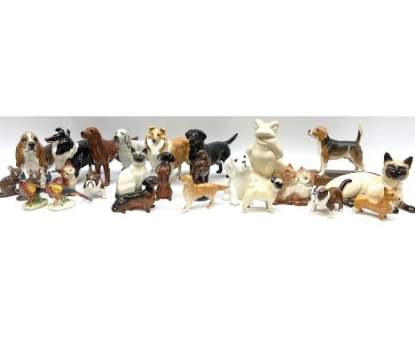 Beswick figures to include, english setter 'Bayldone Baronet', model no 973, collie, model no 1791, sheepdog, model no 1792, 