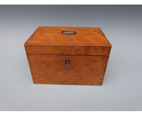 A 19thC kingwood / satin birch tea caddy with mixing bowl