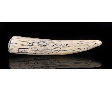 Japanese Meiji period ivory netsuke, with etched design of a hare and leaf, signed, 11cm long