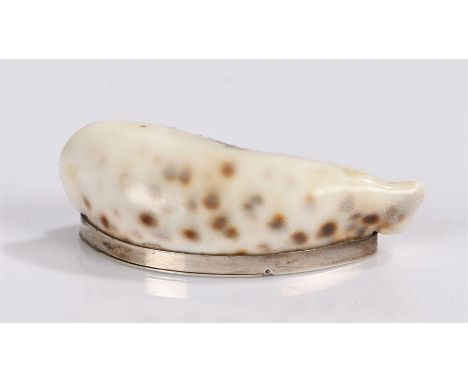 Victorian cowrie shell and white metal mounted snuff box, the hinged panel initialled JE, 7cm wide