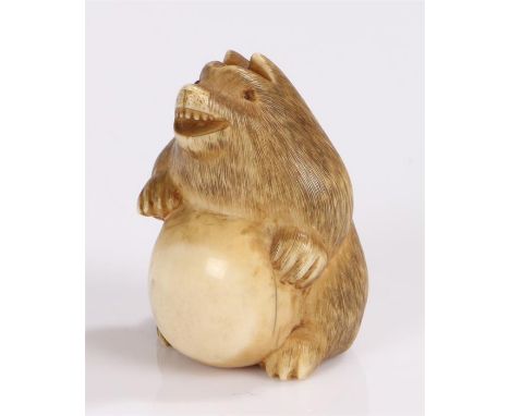 Japanese Meiji period ivory netsuke depicting a badger, signature to the base Ran'ichi 3.7cm high