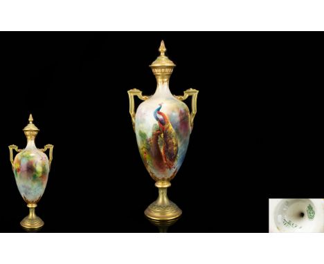 Royal Worcester Twin Handle Hand Painted and Signer Urn Shaped Vase ' Peacock ' In a Woodland Setting. Signed John Flexman. D