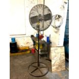 Dayton Pedestal Fan
