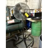 Pedestal Fan