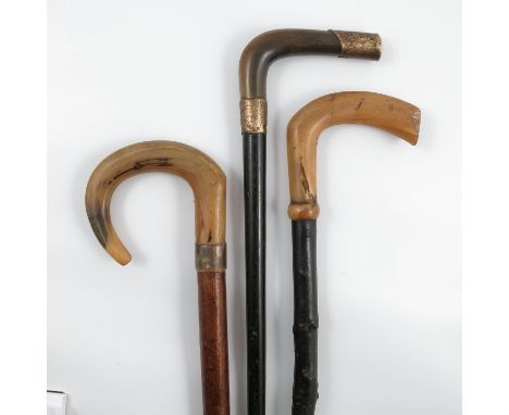 A hedgerow walking stick, with horn handle, together with two other walking sticks with horn handles