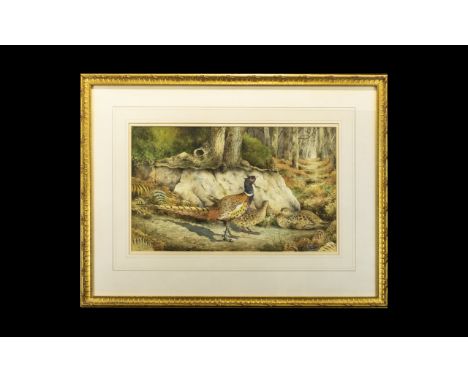 Christopher Hughes 'Pheasants' Original Watercolour On Paper Large scale illustrative watercolour by Royal Worcester artist C