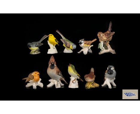 Large Collection of Geobel Hand Painted Bird Figures ( 9 ) Nine In Total + 1 Beswick Bird Figures ( 10 ) Bird Figures In Tota